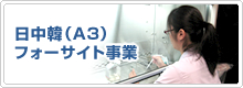 日中韓（A3）フォーサイト事業